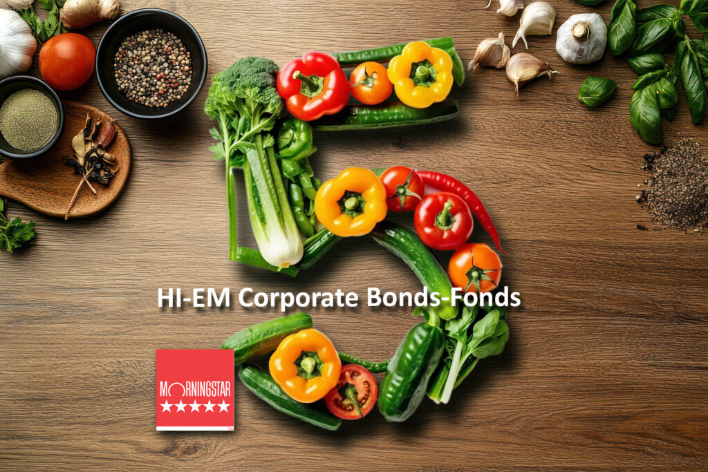 5 Jahre, 5 Sterne – der HI-EM Corporate Bonds-Fonds im Überblick
